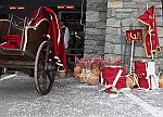 Gara delle Bighe 2011-7929